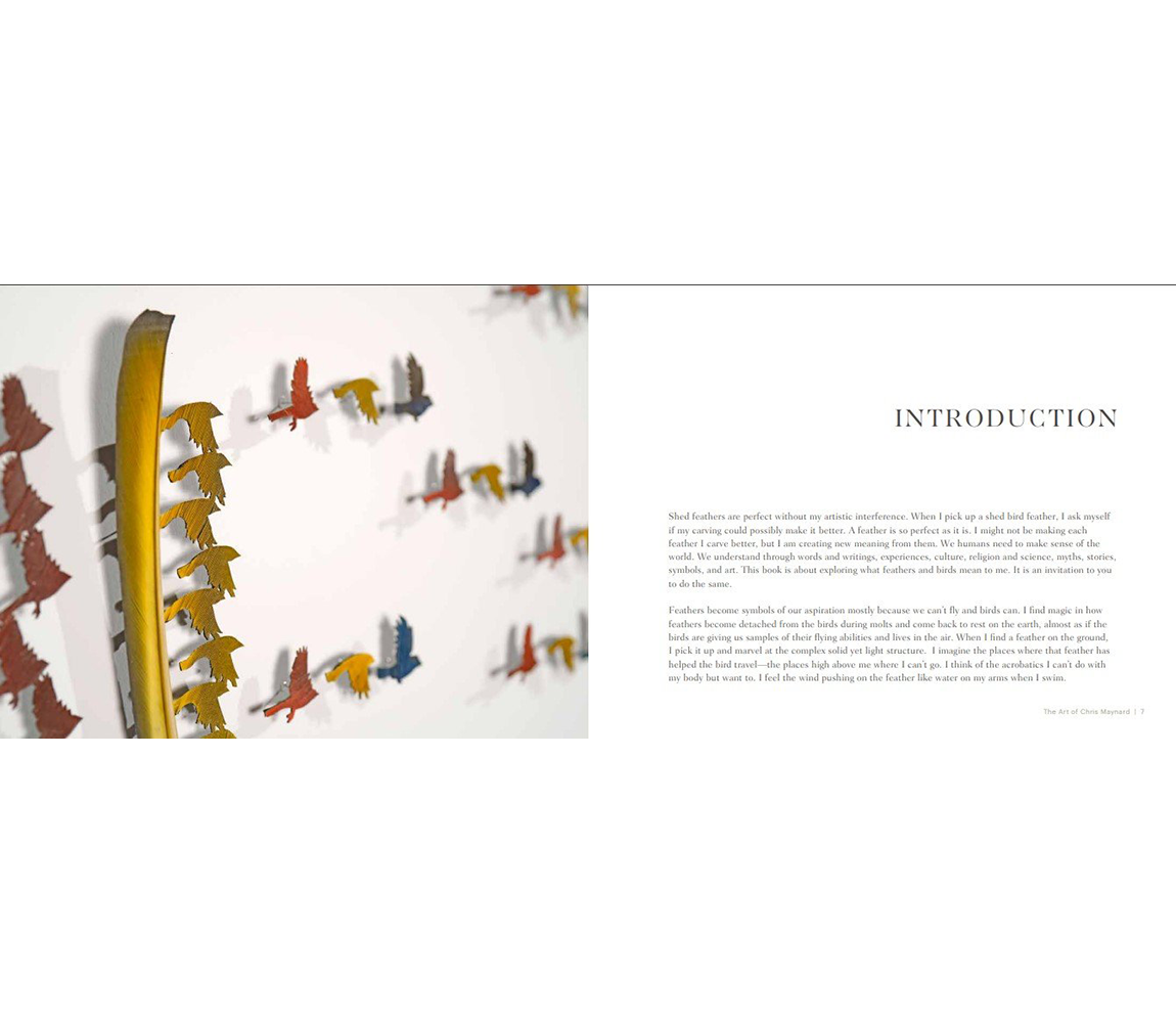 Feathers: Symbology and Meaning book - Chris Maynard